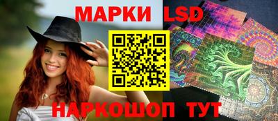 mdpv Краснознаменск