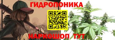 mdpv Краснознаменск