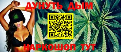 mdpv Краснознаменск