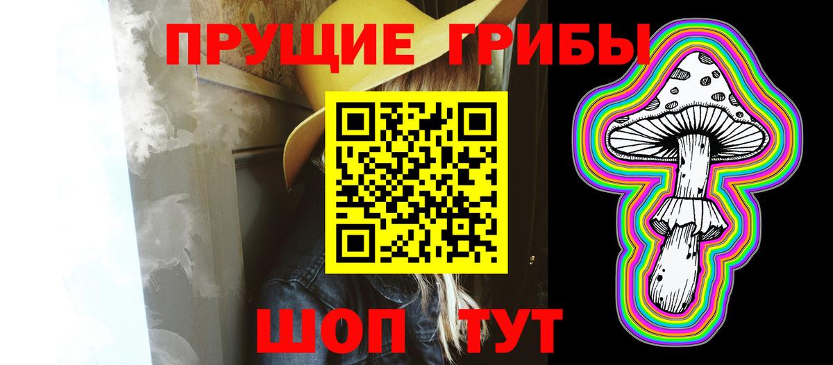 Псилоцибиновые грибы Psilocybine cubensis  наркотики  Выборг  Вход с VPN 