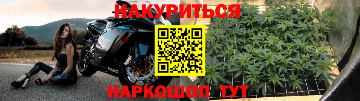 Выборг  Бошки Шишки индика  Бошки марихуана ГИДРОПОН  Вход с VPN  Каннабис VHQ 